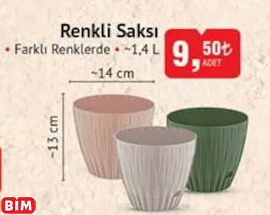 RENKLİ SAKSI